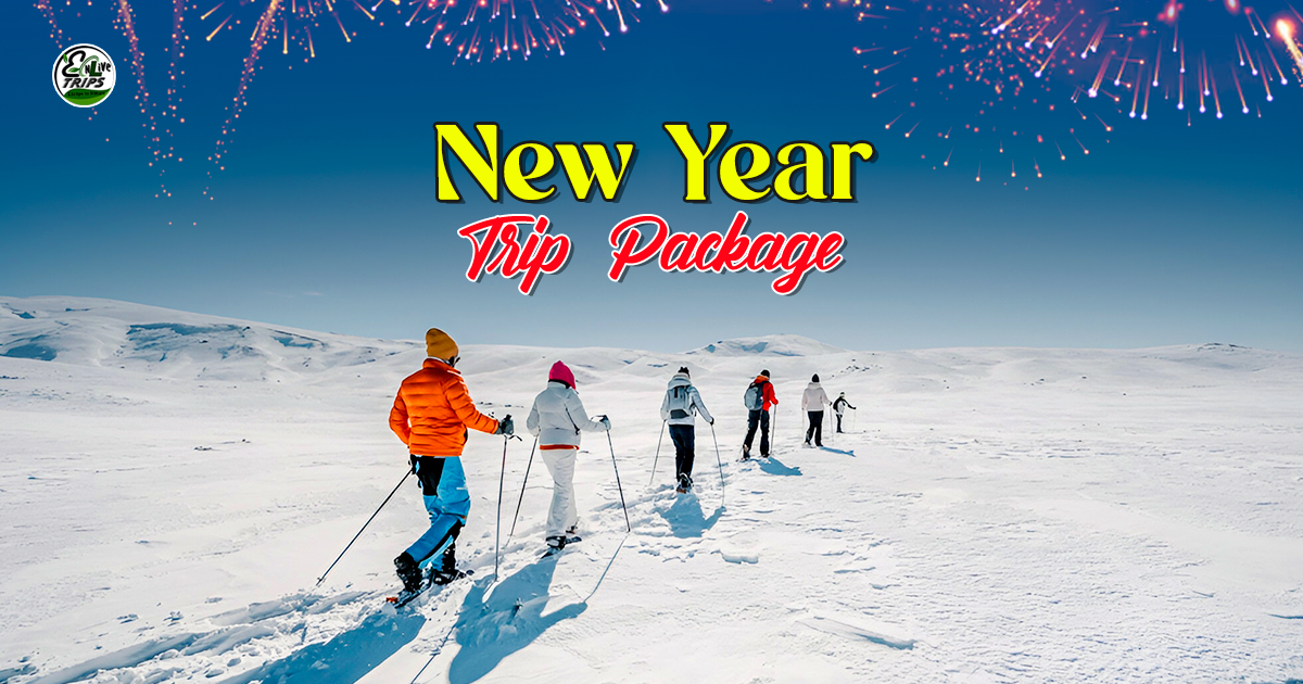 Best places to go for new years 2026